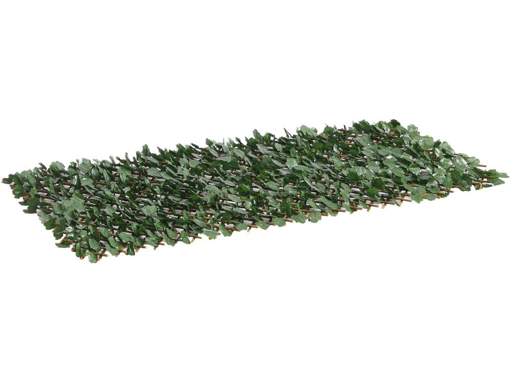 Lot de 6 Clôtures en treillis de saule "Fragon" - 200 x 100 cm - Vert