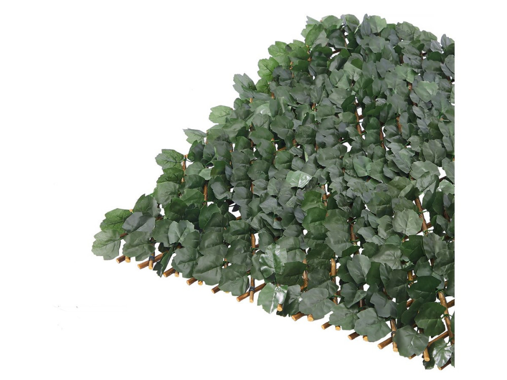 Lot de 6 Clôtures en treillis de saule "Fragon" - 200 x 100 cm - Vert