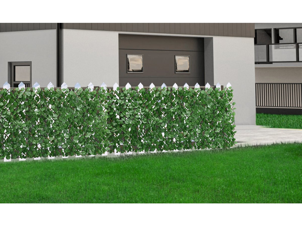 Lot de 6 Clôtures en treillis de saule "Fragon" - 200 x 100 cm - Vert