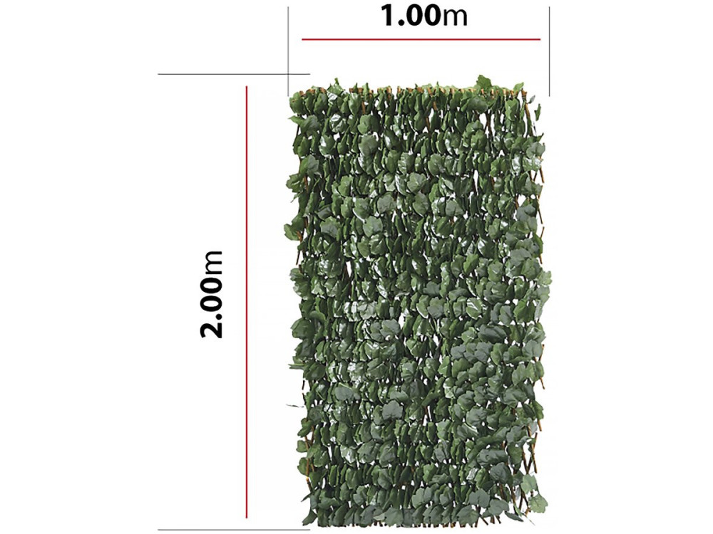 Lot de 6 Clôtures en treillis de saule "Fragon" - 200 x 100 cm - Vert