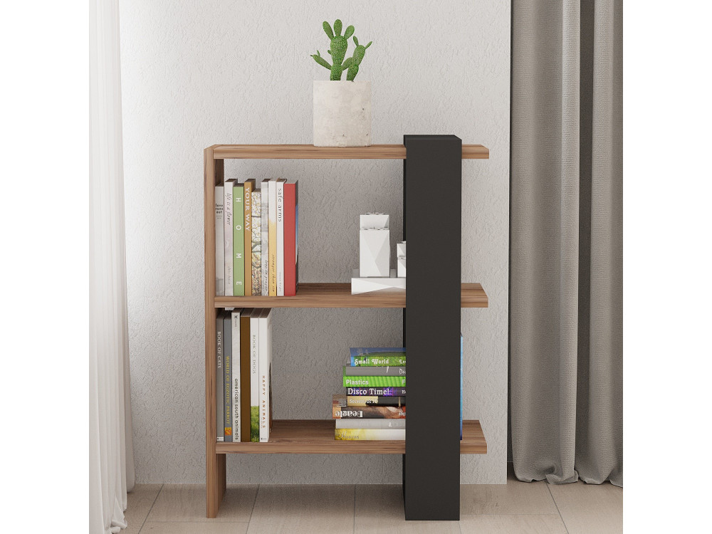 Bibliothèque en bois "Ova" - 51 x 25 x 70 cm - ChêneAnthracite