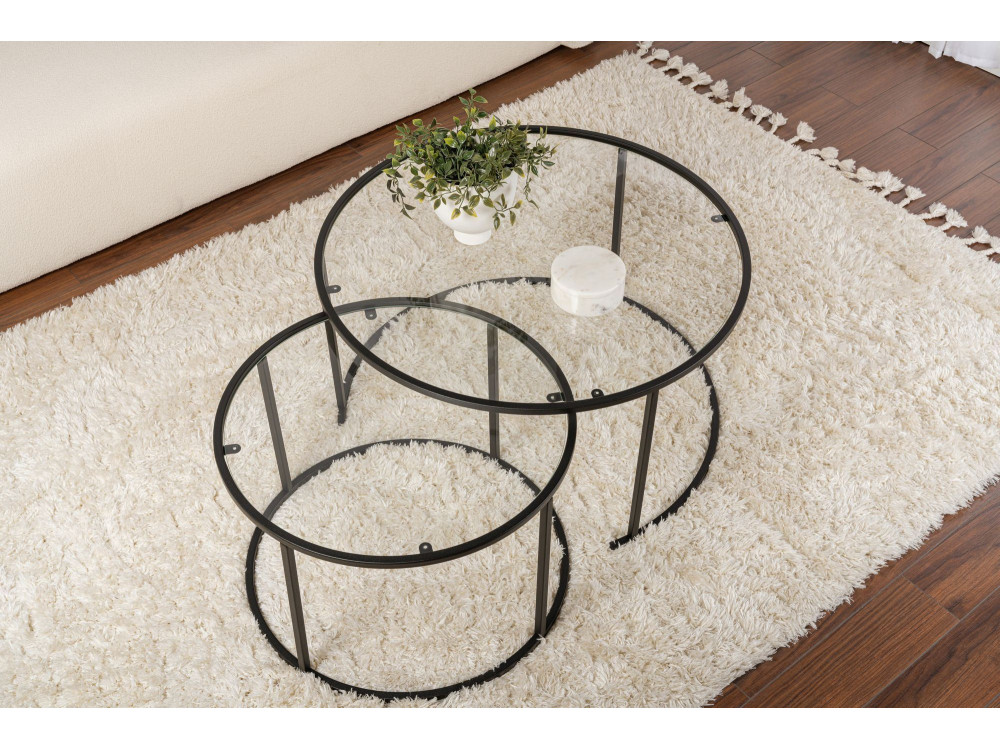 Lot de 2 tables basses en métal "Aurum" - 80 x 80 x 43 cm - Noir Transparent