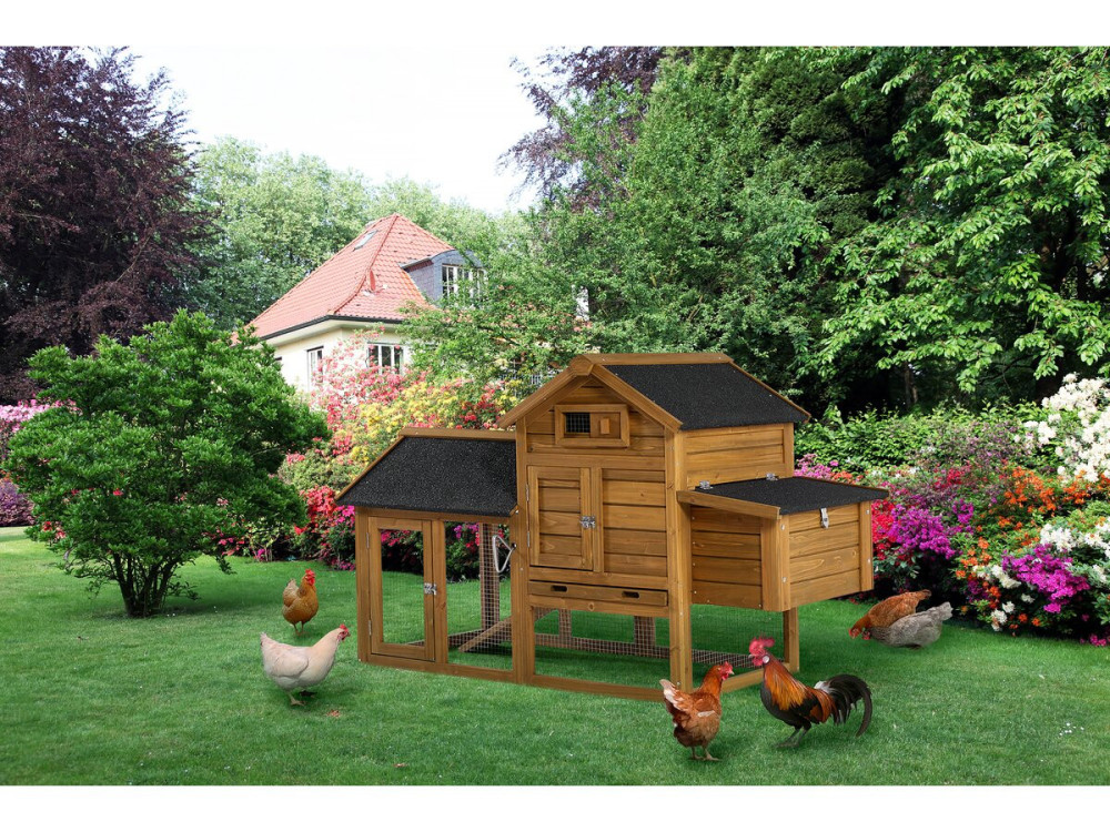 Poulailler "Poulette" avec pondoir en bois - Marron