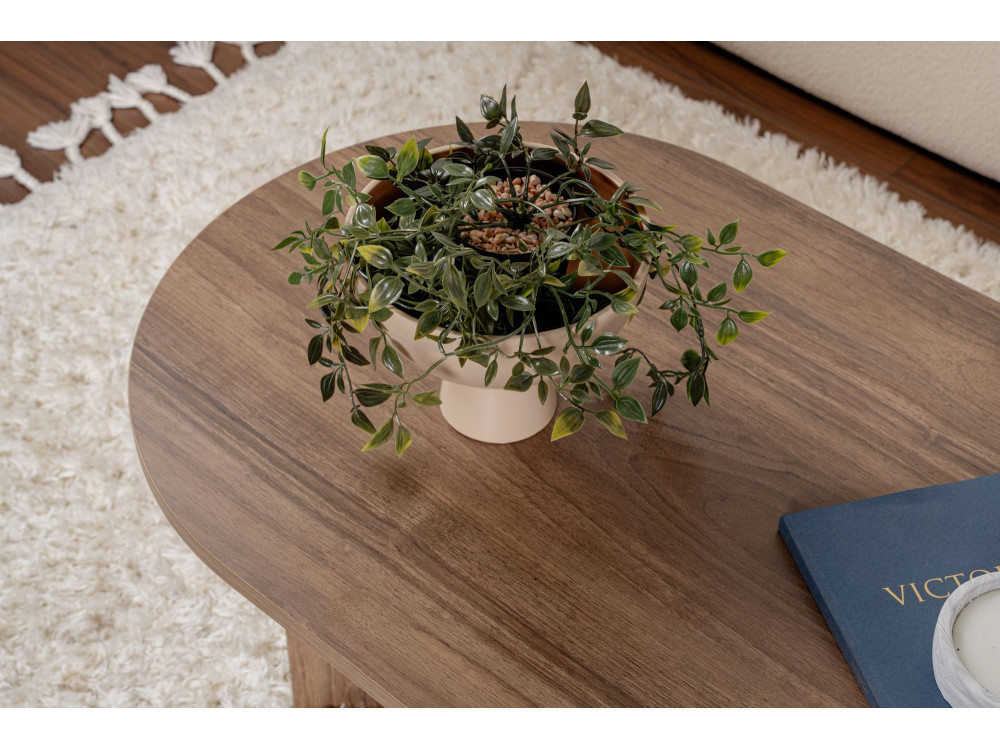 Table basse en bois "Sable" - 60 x 119 x 40 cm - Noyer