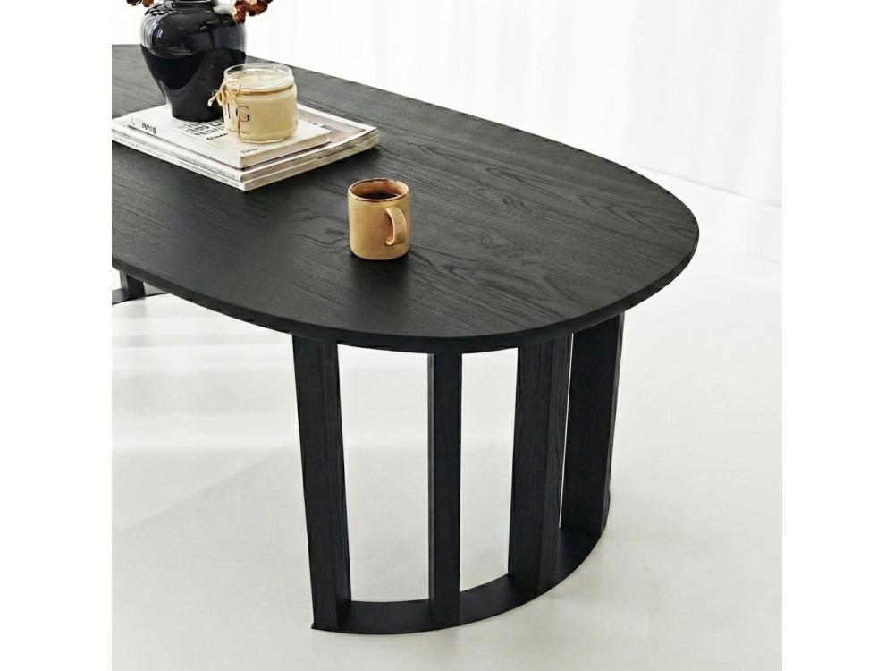 Table basse en bois "Elysia" - 120 x 60 x 40 cm - Noir
