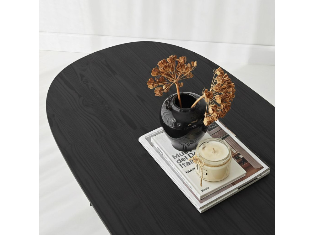 Table basse en bois "Elysia" - 120 x 60 x 40 cm - Noir