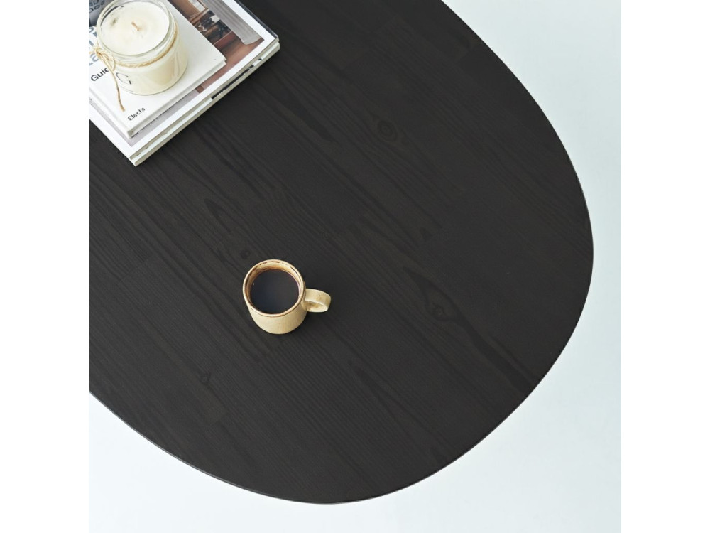 Table basse en bois "Elysia" - 120 x 60 x 40 cm - Noir
