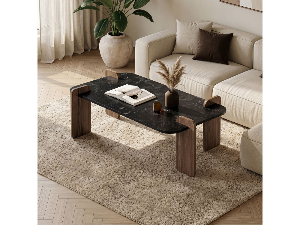 Table basse en bois "Renard" - 120 x 60 x 35 cm - Noir