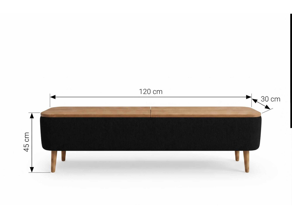 Meuble TV en bois " Sarven " - 120 x 30 x 45 cm - Noir