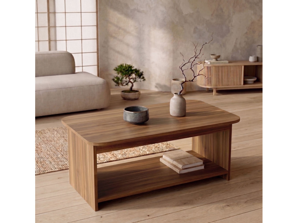 Table Basse en bois " Chb1 " - 100 x 41,8 x 50 cm - Noyer