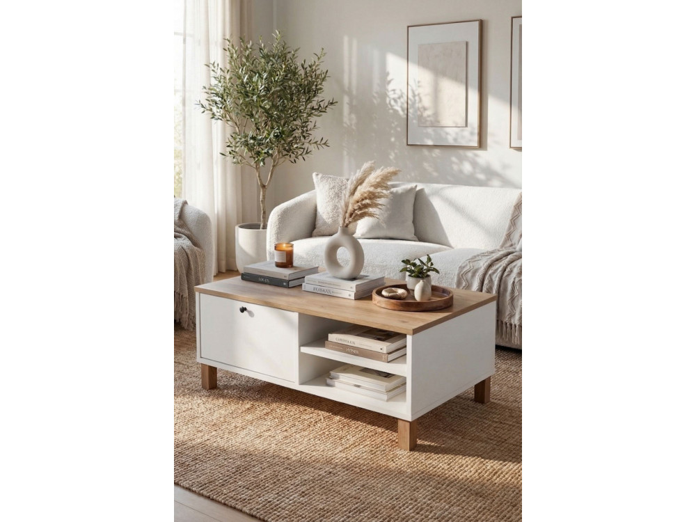 Table Basse en bois " Nord " - 90 x 60 x 38 cm - Blanc