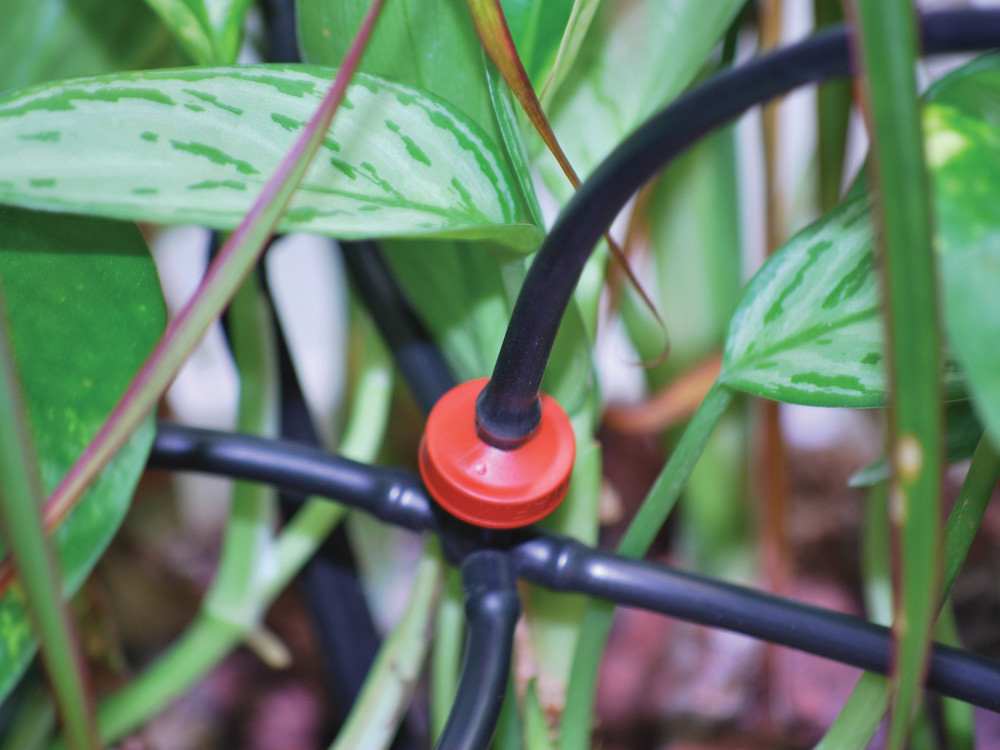 Kit d'irrigation pour serre