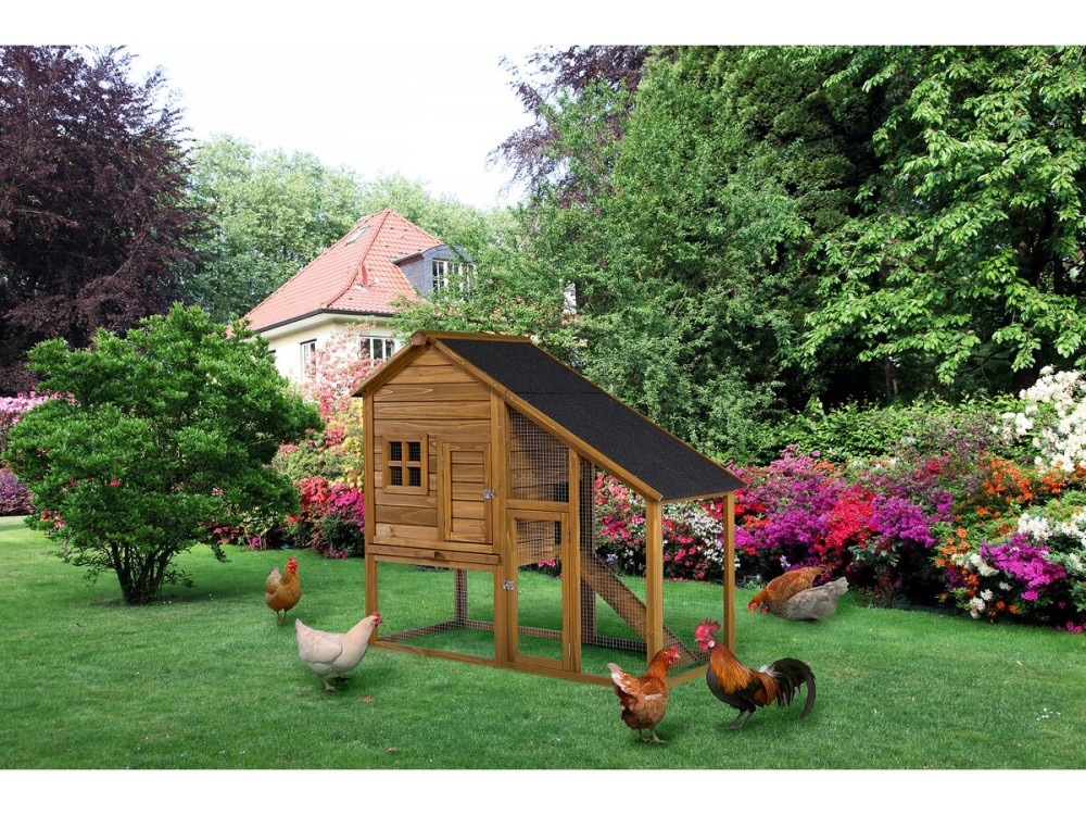 Poulailler "Lily" avec pondoir en bois - Marron