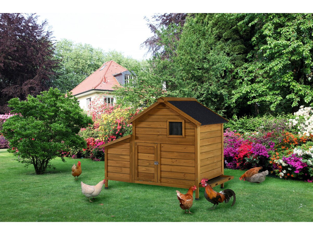 Poulailler en bois "Cocotte" avec pondoir - Marron