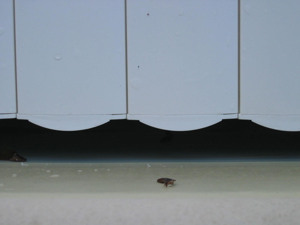 Volet roulant hors sol "Mouv &amp; Roll " pour piscine Cordoue