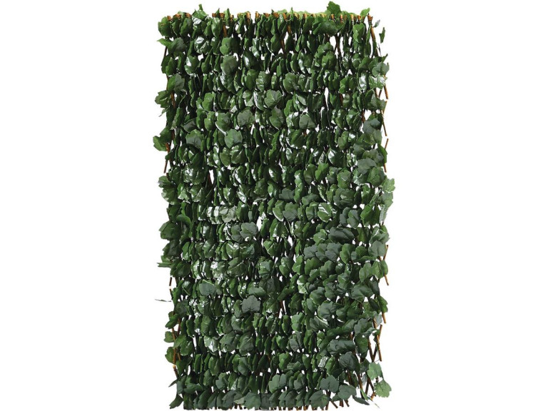 Clôture en treillis de saule "Fragon" - 200 x 100 cm - Vert