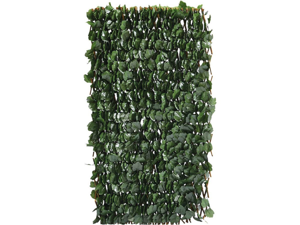 Clôture en treillis de saule "Fragon" - 200 x 100 cm - Vert
