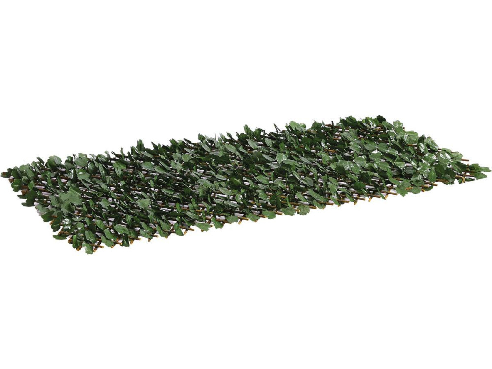 Clôture en treillis de saule "Fragon" - 200 x 100 cm - Vert