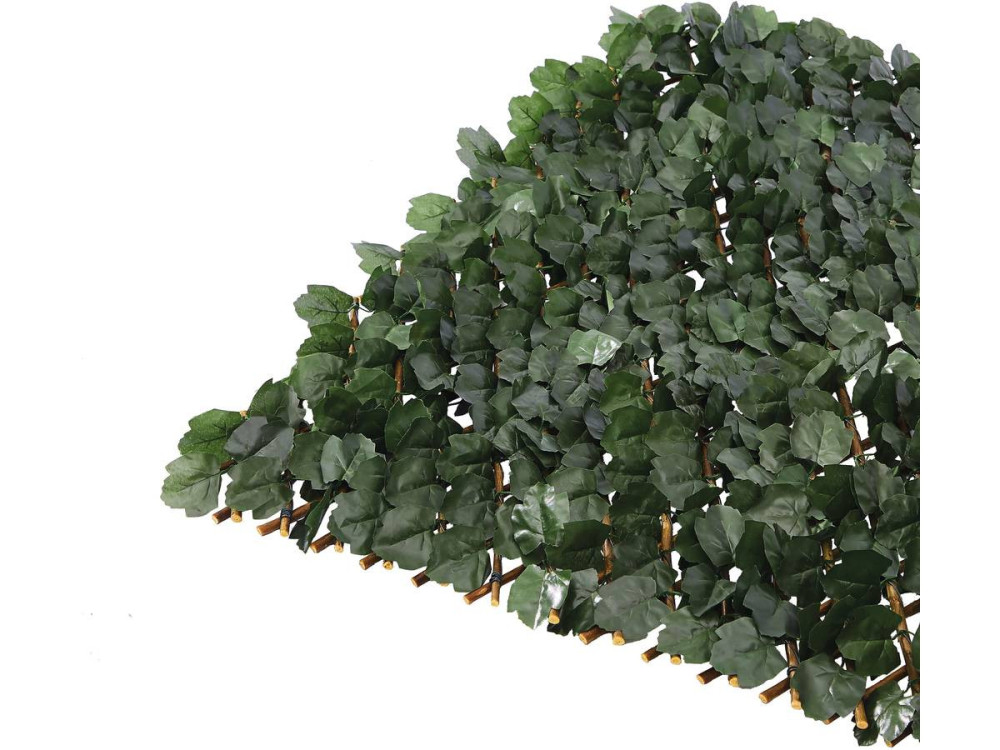 Clôture en treillis de saule "Fragon" - 200 x 100 cm - Vert
