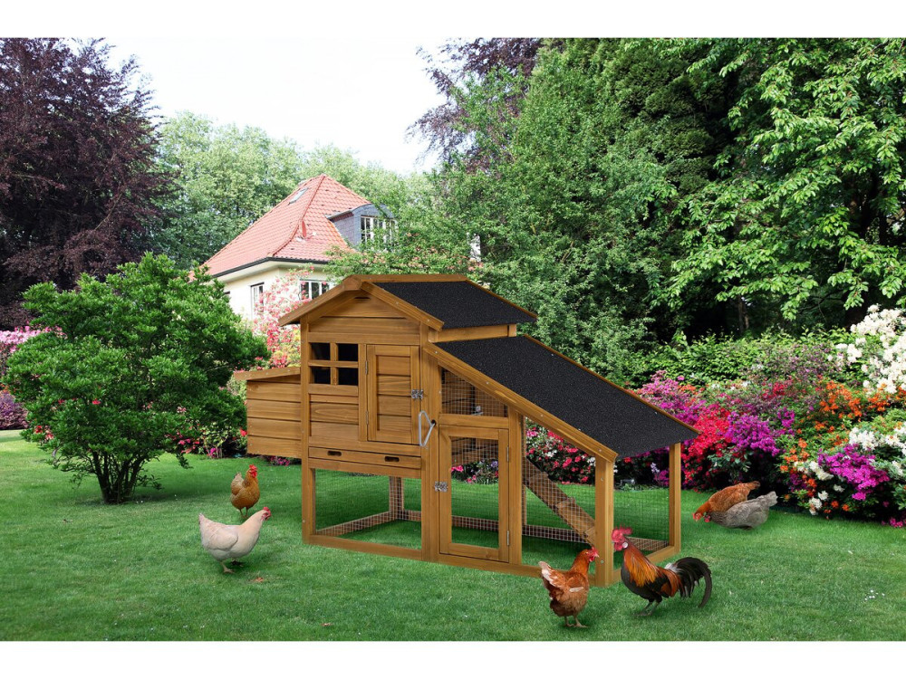 Poulailler avec pondoir en bois "Clochette" - Marron