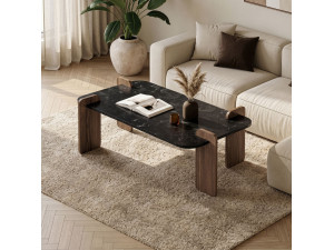 Table basse en bois "Renard" - 120 x 60 x 35 cm - Noir 2