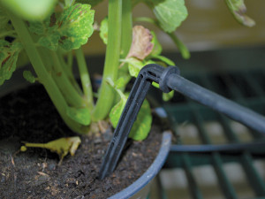 Kit d'irrigation pour serre 2