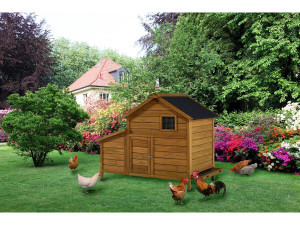 Poulailler avec pondoir en bois "Cocotte" - Marron 2