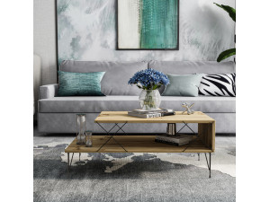 Table basse en bois "Loire" - 100 x 50 x 40 cm - Marron 2