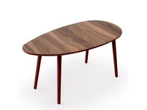 Table basse en bois "Nora" 100 x 50 x 45 cm - Noyer